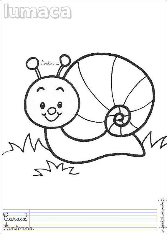 coloriage escargot 2